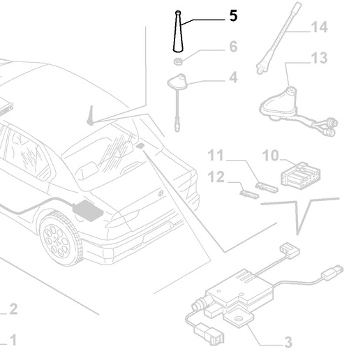 Antenna pungiglione ape